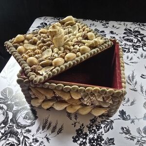 Shell-Embellished Women’s Trinket Box Bag in Beige